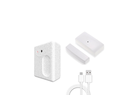 Wireless Smart Voice APP Garage Door Controller