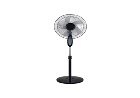 Homestar 40cm Remote Pedestal Fan